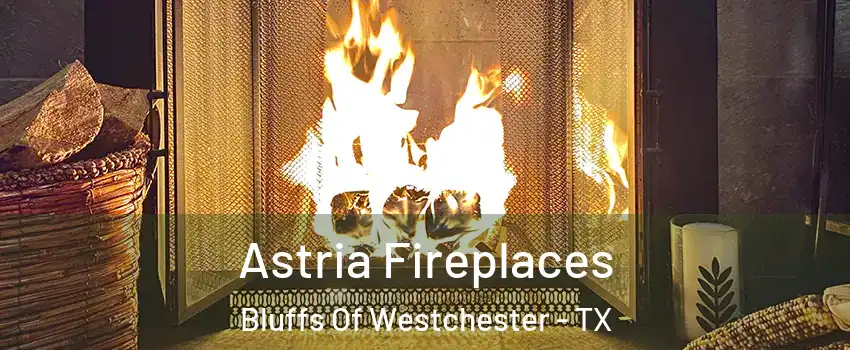 Astria Fireplaces Bluffs Of Westchester - TX