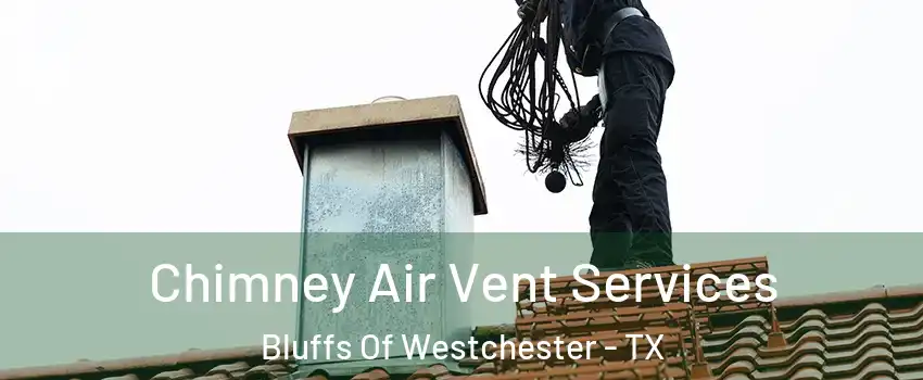 Chimney Air Vent Services Bluffs Of Westchester - TX