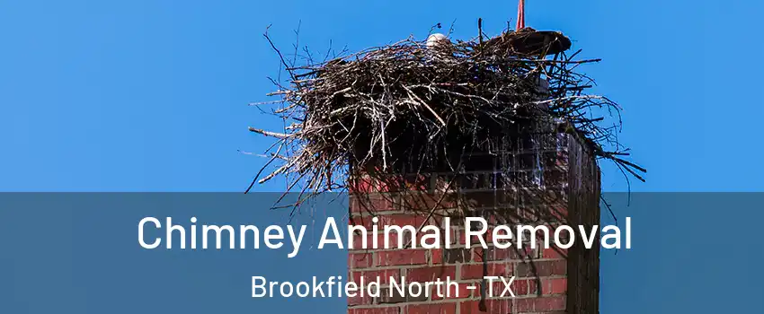 Chimney Animal Removal Brookfield North - TX