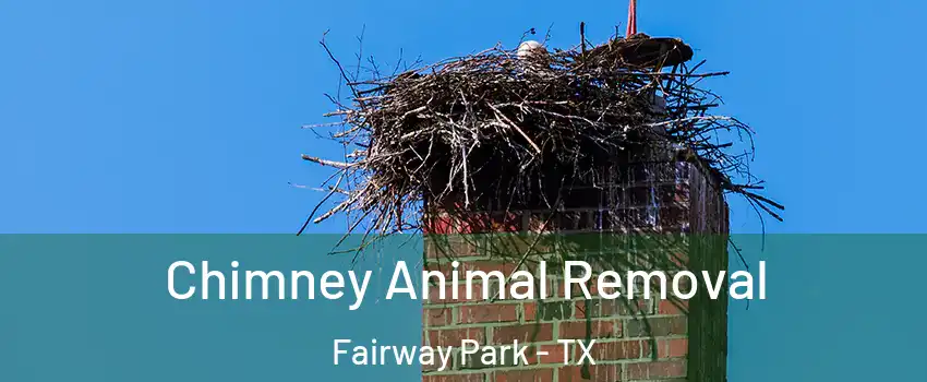 Chimney Animal Removal Fairway Park - TX