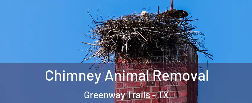 Chimney Animal Removal Greenway Trails - TX