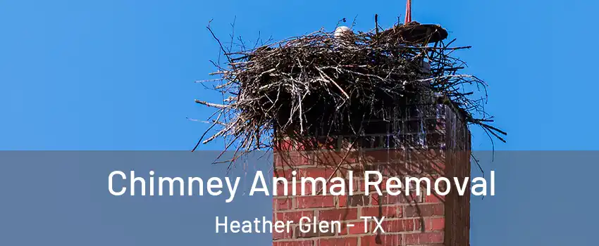 Chimney Animal Removal Heather Glen - TX