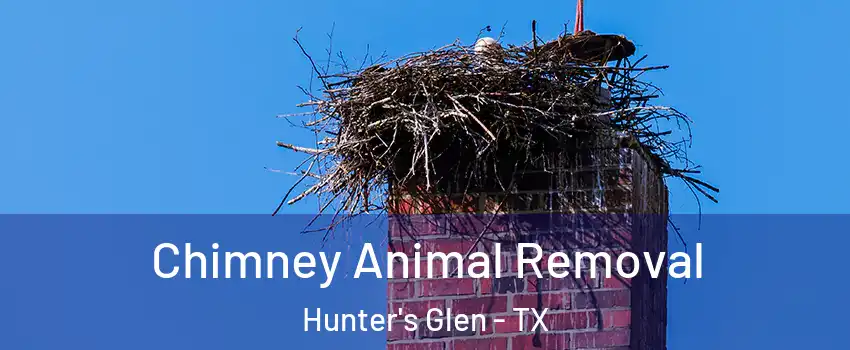 Chimney Animal Removal Hunter's Glen - TX