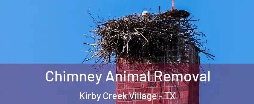Chimney Animal Removal Kirby Creek Village - TX