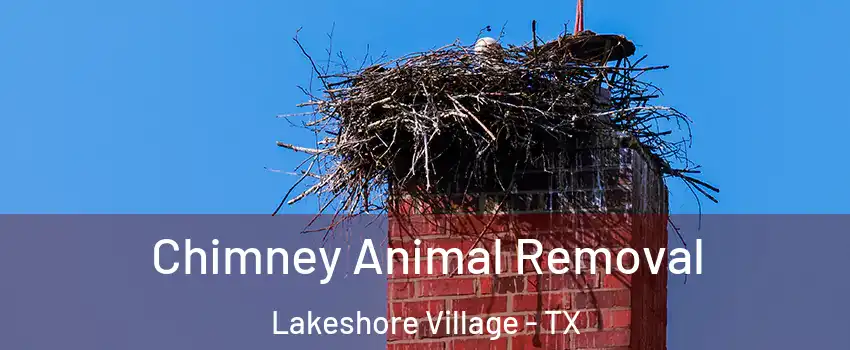 Chimney Animal Removal Lakeshore Village - TX