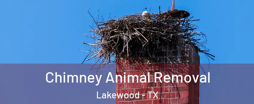 Chimney Animal Removal Lakewood - TX