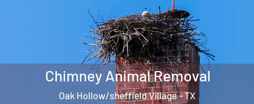 Chimney Animal Removal Oak Hollow/sheffield Village - TX