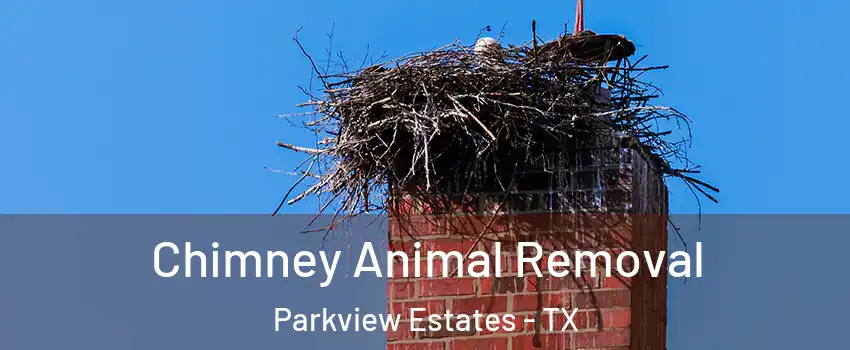 Chimney Animal Removal Parkview Estates - TX