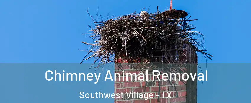 Chimney Animal Removal Southwest Village - TX