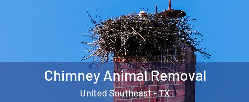 Chimney Animal Removal United Southeast - TX
