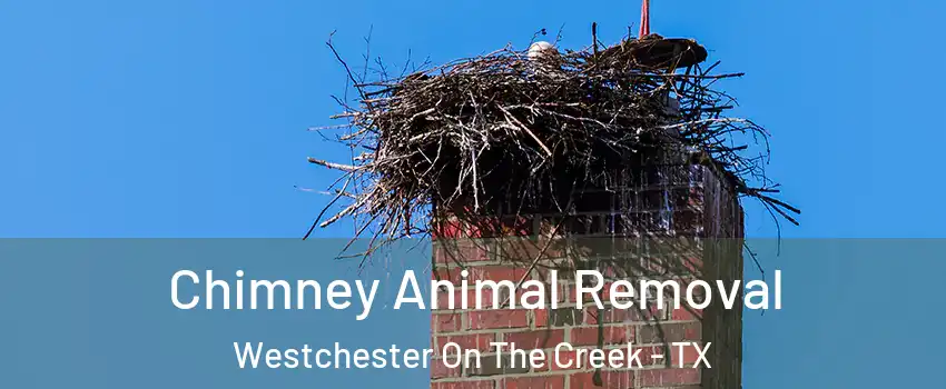 Chimney Animal Removal Westchester On The Creek - TX
