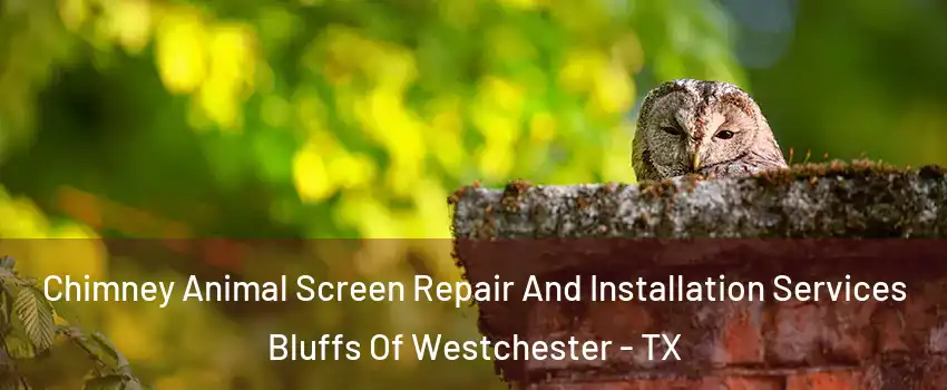 Chimney Animal Screen Repair And Installation Services Bluffs Of Westchester - TX