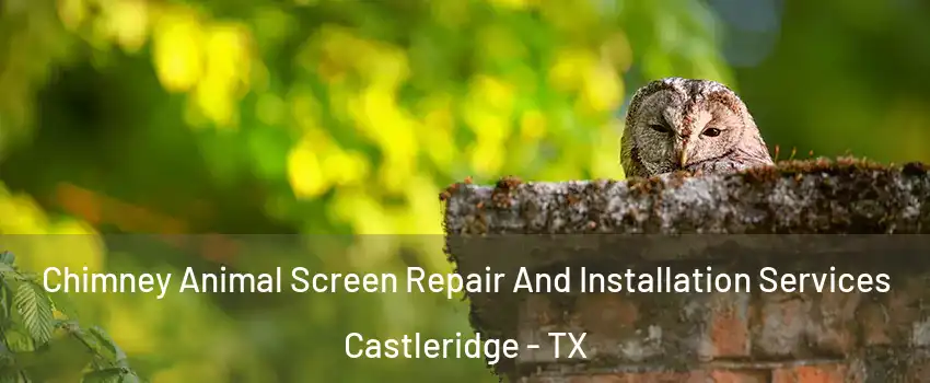Chimney Animal Screen Repair And Installation Services Castleridge - TX