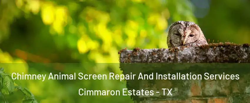 Chimney Animal Screen Repair And Installation Services Cimmaron Estates - TX
