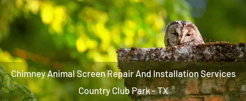 Chimney Animal Screen Repair And Installation Services Country Club Park - TX