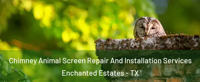 Chimney Animal Screen Repair And Installation Services Enchanted Estates - TX