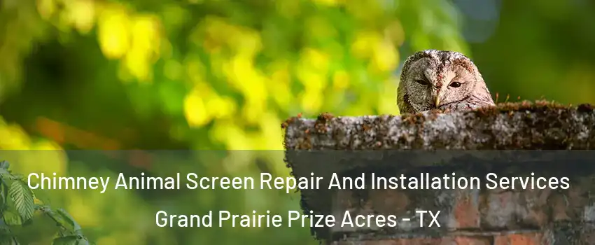 Chimney Animal Screen Repair And Installation Services Grand Prairie Prize Acres - TX