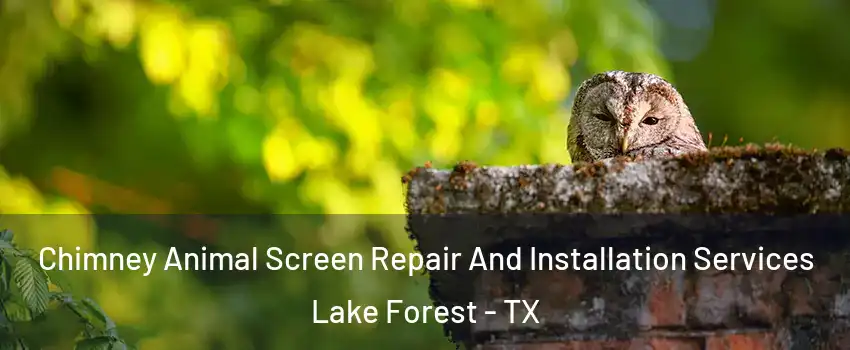 Chimney Animal Screen Repair And Installation Services Lake Forest - TX