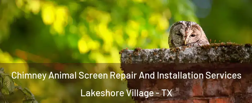 Chimney Animal Screen Repair And Installation Services Lakeshore Village - TX