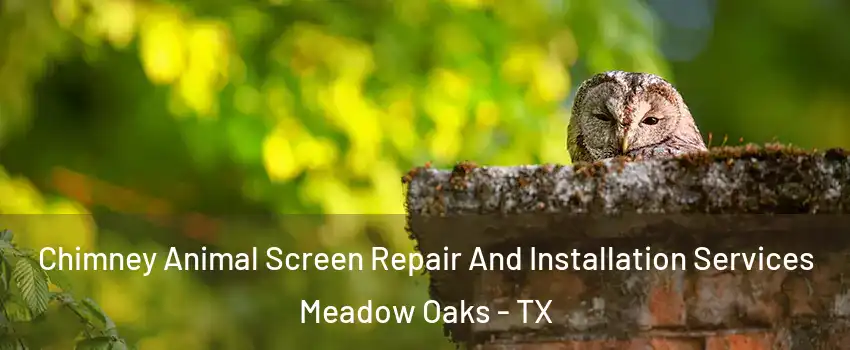 Chimney Animal Screen Repair And Installation Services Meadow Oaks - TX