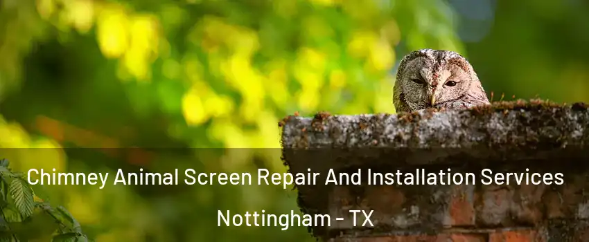 Chimney Animal Screen Repair And Installation Services Nottingham - TX