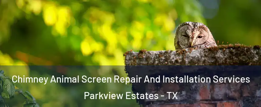 Chimney Animal Screen Repair And Installation Services Parkview Estates - TX