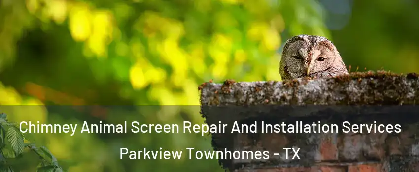 Chimney Animal Screen Repair And Installation Services Parkview Townhomes - TX