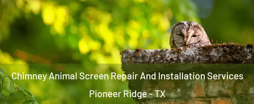 Chimney Animal Screen Repair And Installation Services Pioneer Ridge - TX