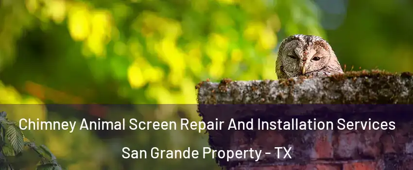 Chimney Animal Screen Repair And Installation Services San Grande Property - TX