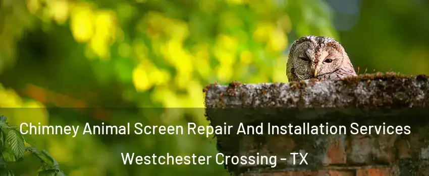 Chimney Animal Screen Repair And Installation Services Westchester Crossing - TX