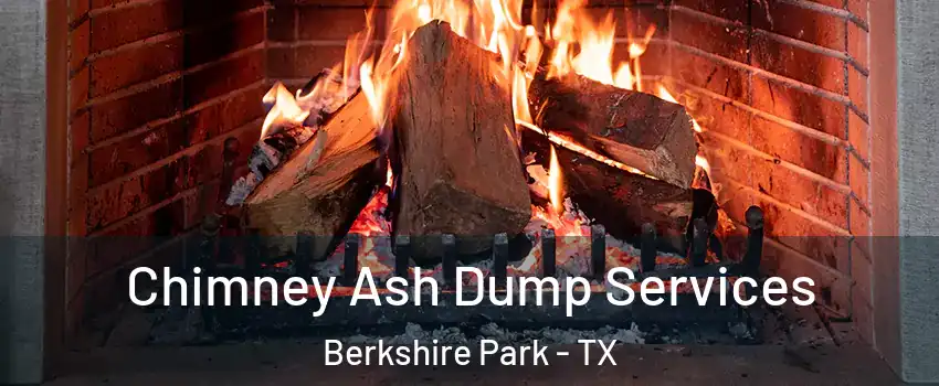 Chimney Ash Dump Services Berkshire Park - TX