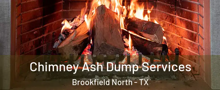 Chimney Ash Dump Services Brookfield North - TX