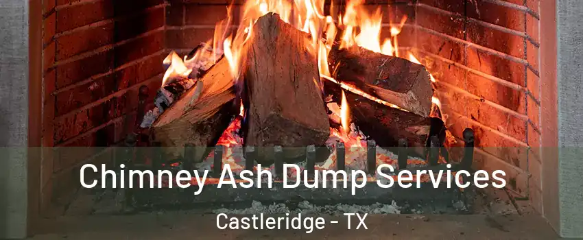 Chimney Ash Dump Services Castleridge - TX