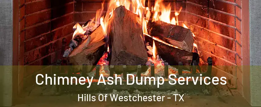 Chimney Ash Dump Services Hills Of Westchester - TX