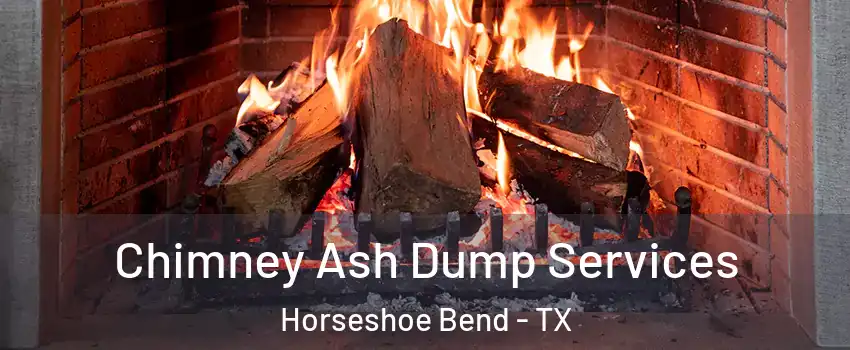 Chimney Ash Dump Services Horseshoe Bend - TX