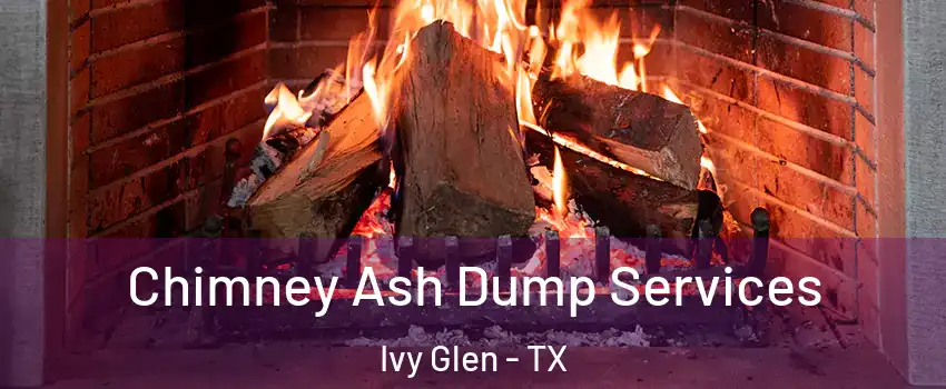 Chimney Ash Dump Services Ivy Glen - TX