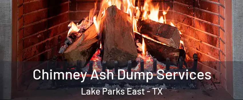 Chimney Ash Dump Services Lake Parks East - TX