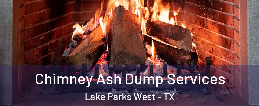Chimney Ash Dump Services Lake Parks West - TX