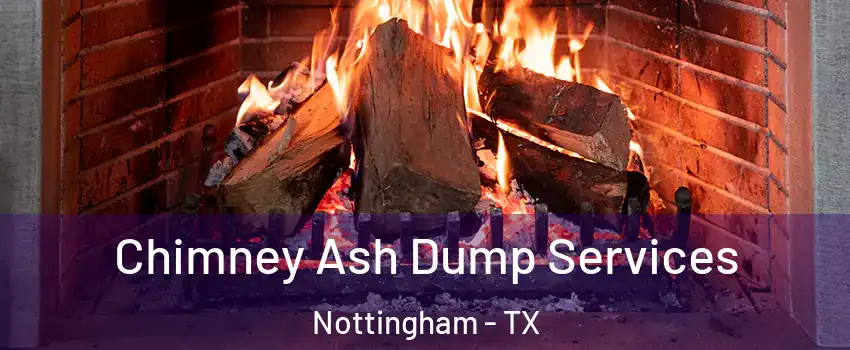 Chimney Ash Dump Services Nottingham - TX