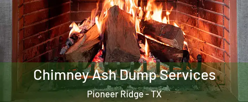 Chimney Ash Dump Services Pioneer Ridge - TX