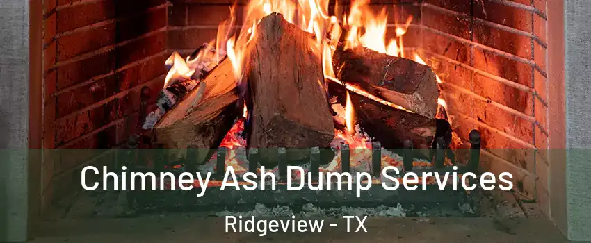 Chimney Ash Dump Services Ridgeview - TX