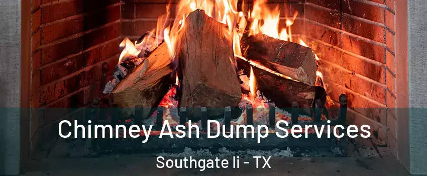 Chimney Ash Dump Services Southgate Ii - TX