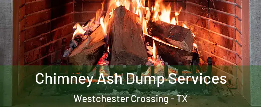 Chimney Ash Dump Services Westchester Crossing - TX