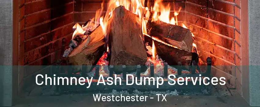Chimney Ash Dump Services Westchester - TX