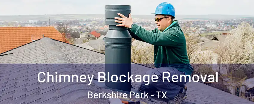 Chimney Blockage Removal Berkshire Park - TX