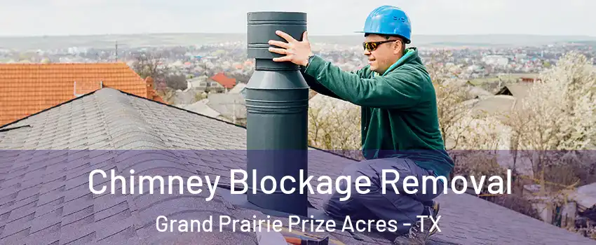 Chimney Blockage Removal Grand Prairie Prize Acres - TX