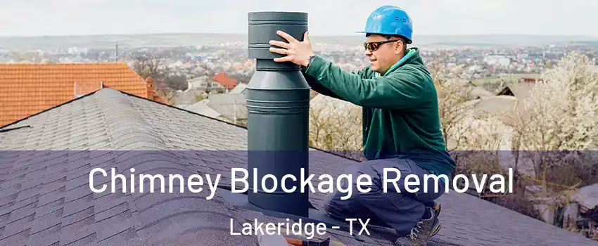 Chimney Blockage Removal Lakeridge - TX
