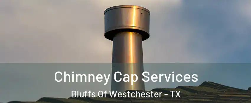 Chimney Cap Services Bluffs Of Westchester - TX