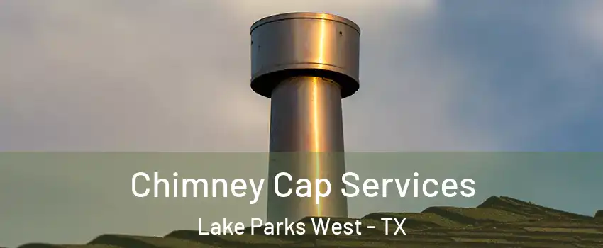 Chimney Cap Services Lake Parks West - TX