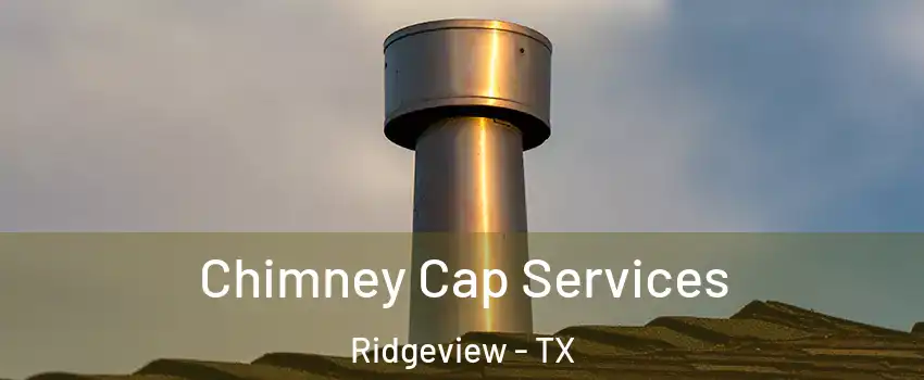 Chimney Cap Services Ridgeview - TX